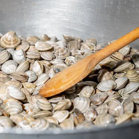 Marino1958 Rta 3* Numana